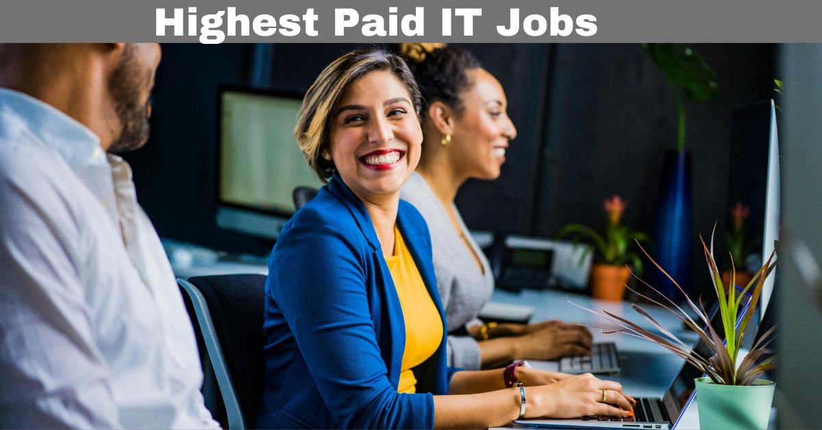 Which IT profession pays the most?